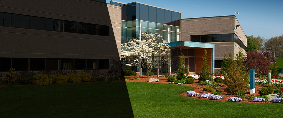 Spring Grove Landscapers