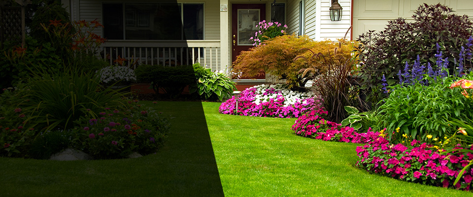 Spring Grove Landscapers