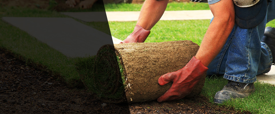 Spring Grove Landscapers